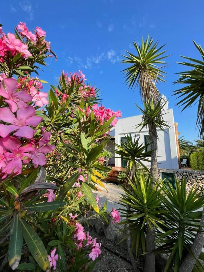 Villa Dei Gabbiani Favignana Zewnętrze zdjęcie